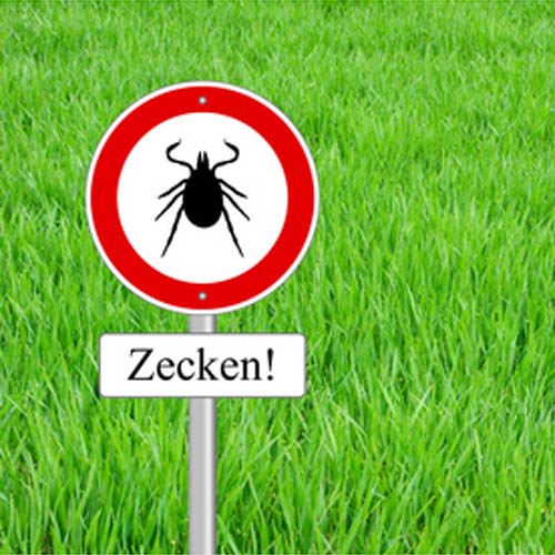 unde vor Zecken schützen – ohne Chemie
