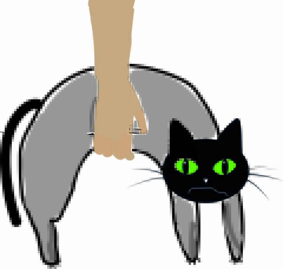 Wenn man die Katze mit nur einer Hand hochhebt, hängen Kopf und Hinterteil herunter.