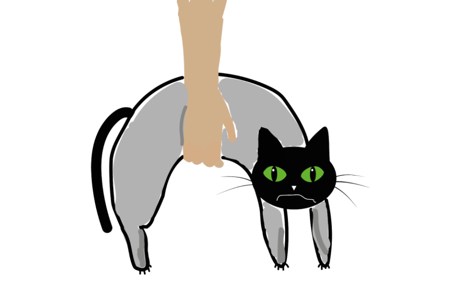 Katze nicht mit nur einer Hand hochheben