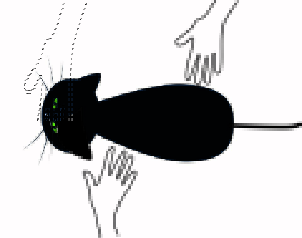 Katze immer mit zwei Händen hochheben.