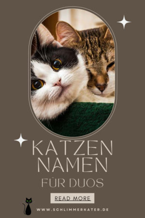 Pinterest-Pin: Namen für Duos