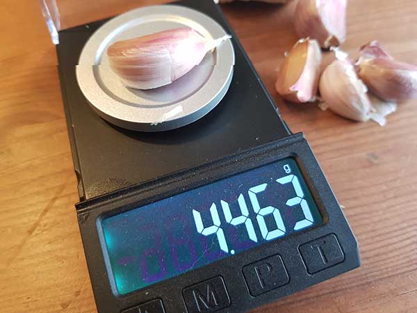 Knoblauchzehe auf Waage