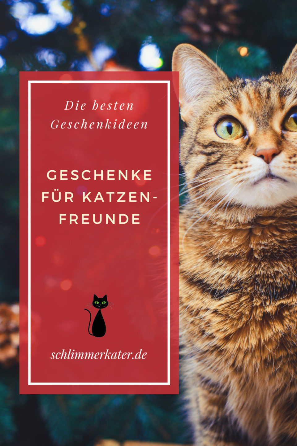 Pinterest-Pin: Katze