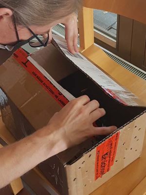 Karton mit Luftlöchern